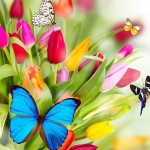 Пипилота Спиридонова